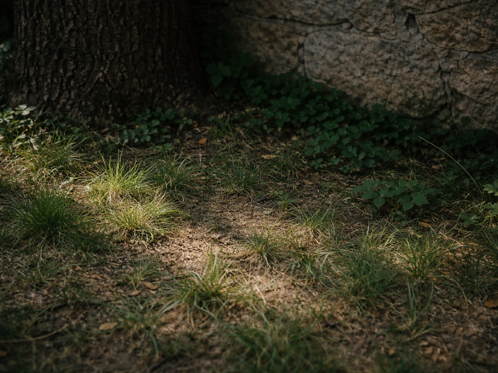 Gazon clairsemé et herbes rampantes sous un arbre, près d’un mur, en manque de lumière.