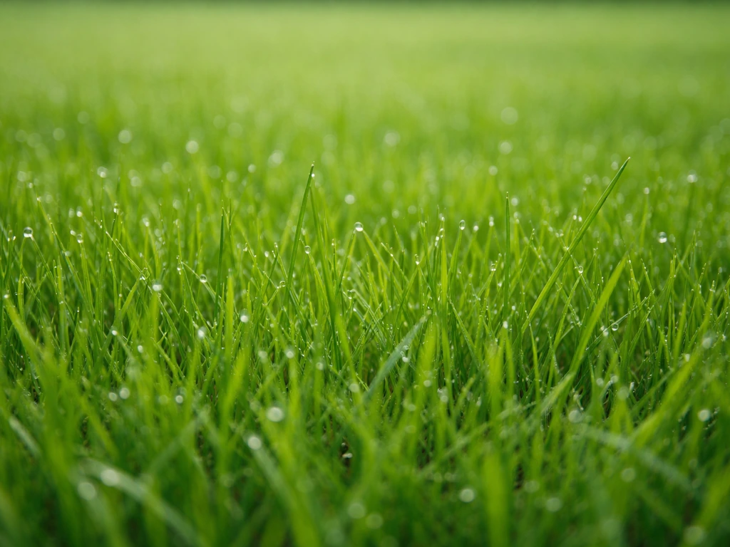 Vert gazon couleur : causes et plan d’action en 14 jours